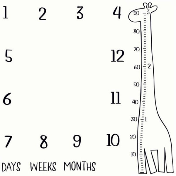 Monthly Growth Milestone Blanket